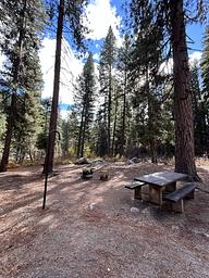 Campsite with picnic table, fire ring, and lantern hook.