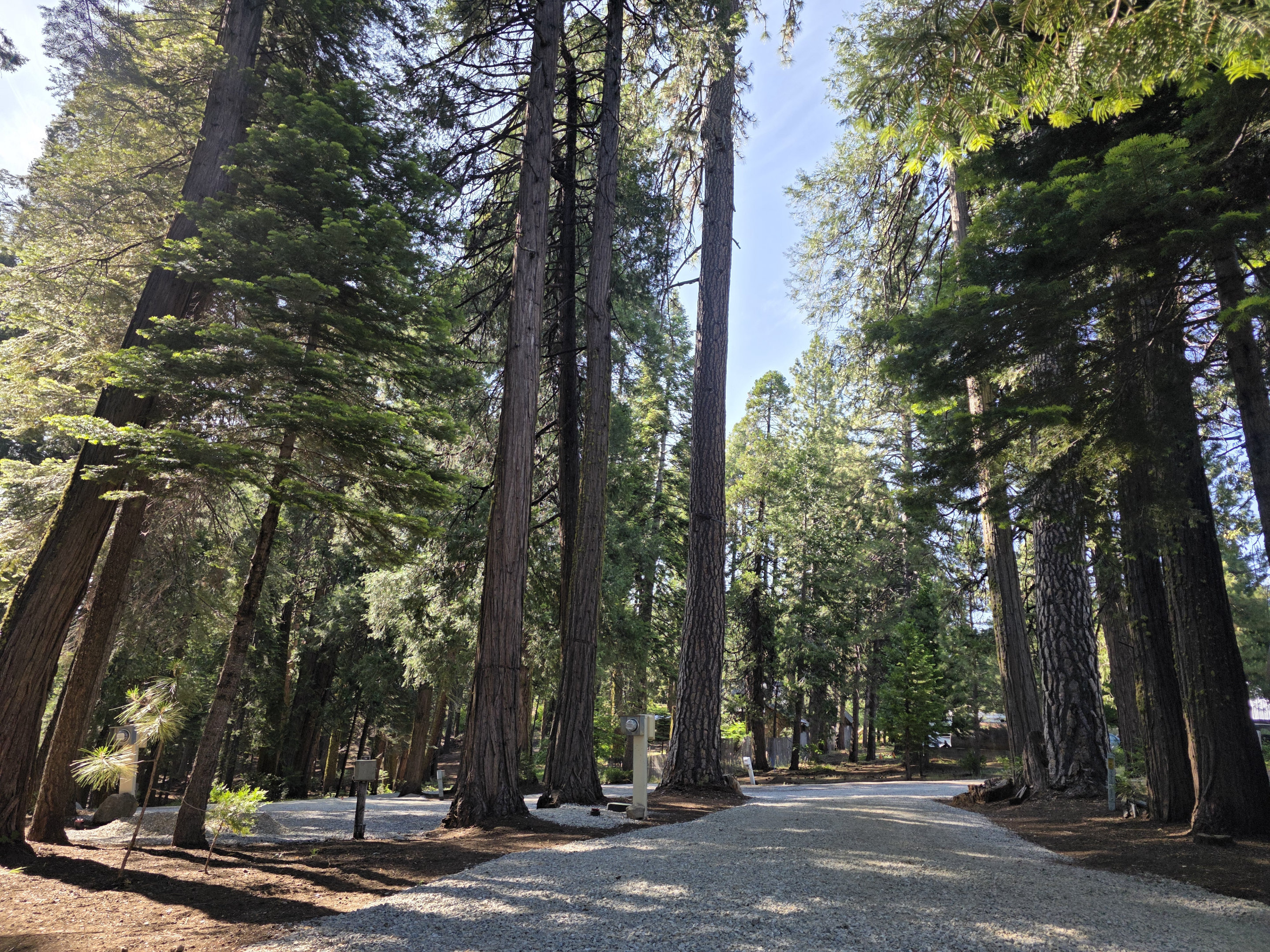 Cook's Station Campground