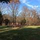 A picnic table under autumn leaved-trees and a blue sky