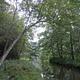 Chopawamsic Creek in the backcountry area