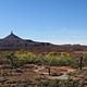 Panoramic view of the desert campground with a ribbon of cottonwood trees and Six Shooter Peak in the background.