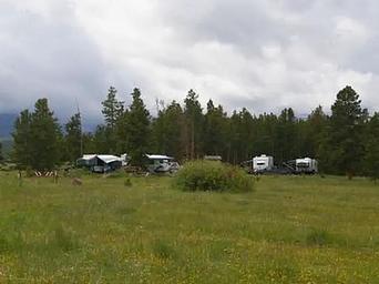 Trucks and trailers in a group campground with a grassy meadow and pines in the background.