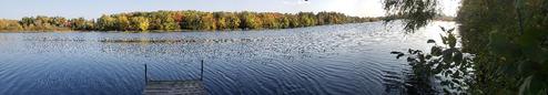 Bullfrog Resort
