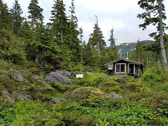 Lake Josephine Cabin