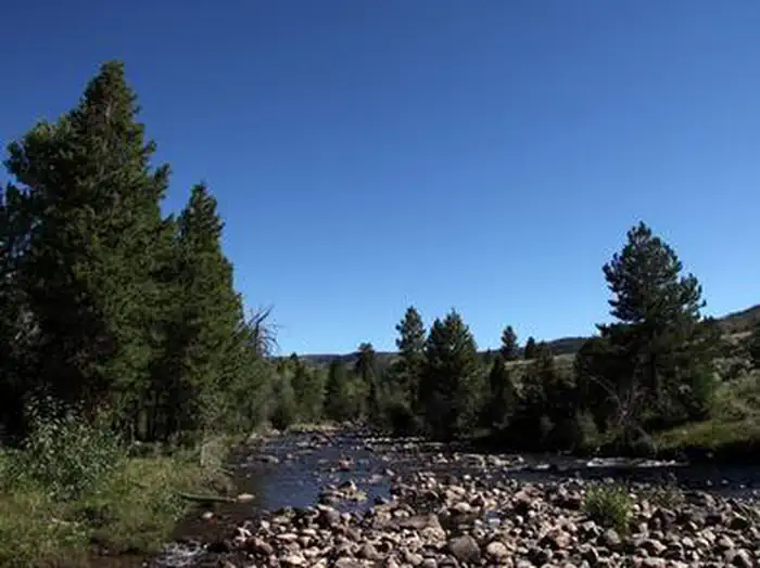 Yellowstone Group Campground