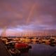 Wide view of the marina with many moored boats and a dock (rainbow/sky) — visually documents the waterfront/marina area referenced on the site.