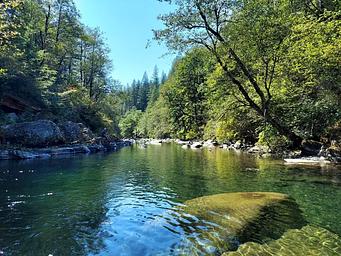 Creek by Sunset Falls