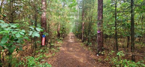 Campspot slideshow image 4