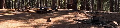 Upper Twilight Group Site
