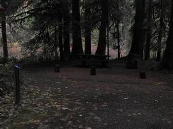 Limberlost Campground