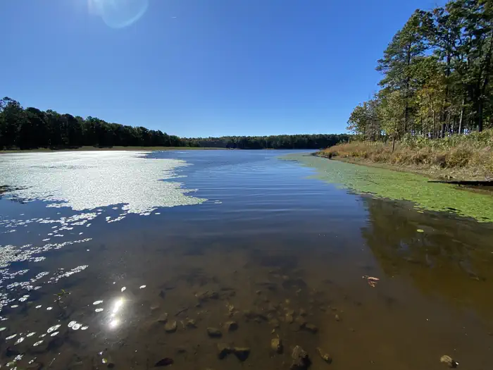 Pinewoods Lake Rec Area