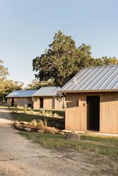 Serana cabins tucked under oak trees