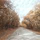 Redbud Bay entry road in the fall 2