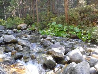 Monumental Creek by Tunnel Mills Campground