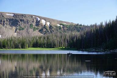 Moosehorn