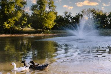Sugar Hill RV Resort