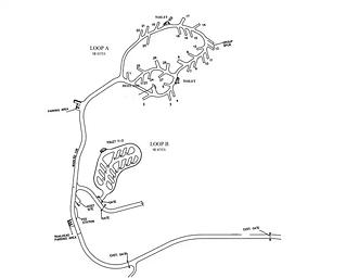 Potato Patch Campground