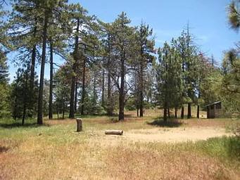 WOODED HILL GROUP