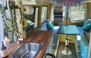 Luxury Sprinter Adventure Van (Whale Shark)
