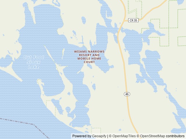 Map of Williams Narrows location at Deer River, MN, United States