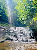 Salt Springs Park