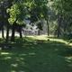 a grassy park