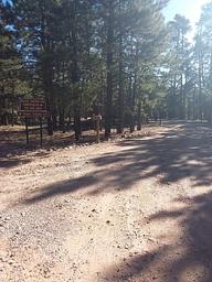 Black Canyon Rim Campground Sign and Gate Entrance