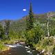 MINERS GULCH