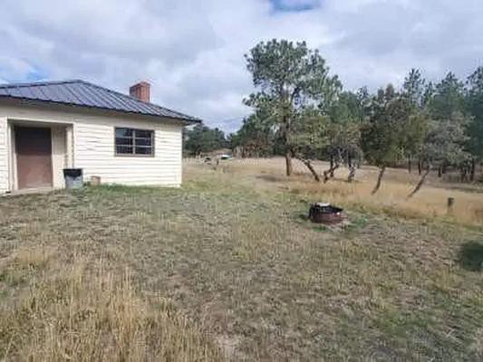 Pines Group Shelter, Loop: Pines Group Shelter