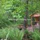 Clear on-site photo showing one of the glamping huts nestled in wooded grounds with ferns and outdoor seating — good interior-campground view used as the site cover image (page: “Glamping! - Wild Yough Glamping Huts”).