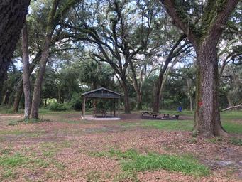 Sunnyhill Restoration Area SJRWMD