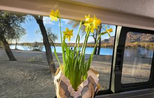 21′Ethos Class B Camper Van RV rental photo 11