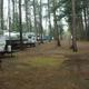 Row of RVs and campsites among pine trees — clear photo of RV pitches and site layout, from the property Pictures gallery.