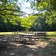 Picnic tables in the shade of trees located in Picnic Area A