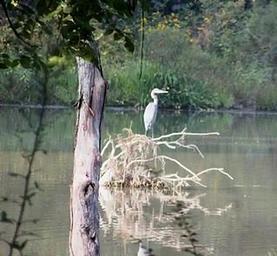 CARR CREEK LAKE SHELTERS