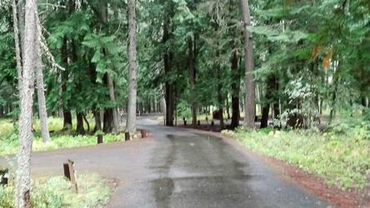 Yaak River Campground (MT)