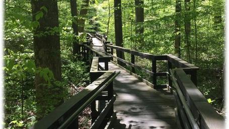 Adirondack Shelters