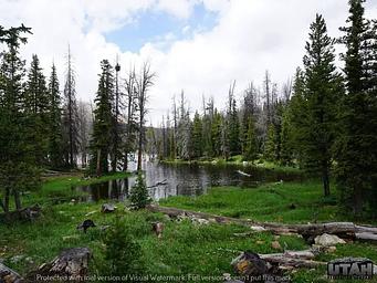 Trial Lake Campground