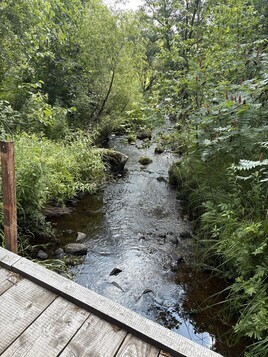 Rum River Campground