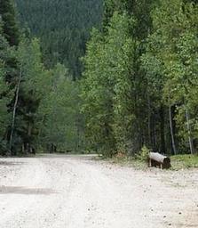 COLUMBINE CAMPGROUND