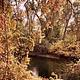 Fall Colors at Valley Oak Recreation Area