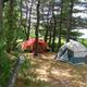 Sleeping under the pines