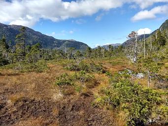 Suloia Lake trail (2)