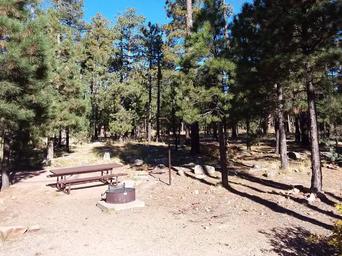 Site 26