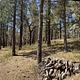 Mountain Oak Campground 2