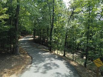 Deerlick Narrow Road Leading to sites #36-40