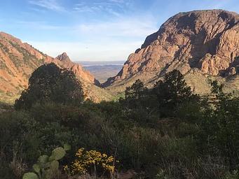 Chisos Basin View