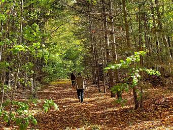 McKeever Hiking Trail