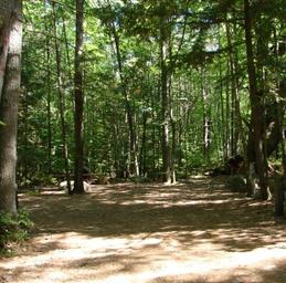 Wooded campsite clearing with tent area and natural forest setting — useful to show typical tent/campsite environment on the property. Source: homepage gallery (labeled rv3/tent area).