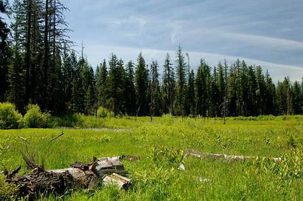 C1, Loop: AREA WILLOW PRAIRIE CABIN
